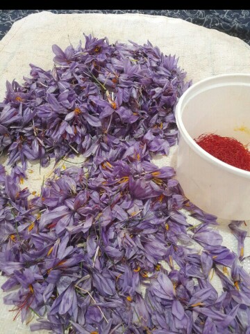 اینم از گذراندن روز جمعه آبجی یه دونه من .سلامت باشه انشالله