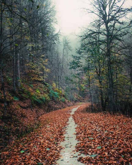 پاییز فصل عاشقی«کلاردشت زیبا»