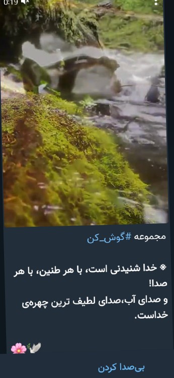 همه چی از نشانه های خداست به بزرگیت شکرت💚💚