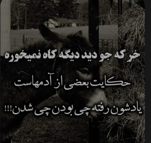 خواهشن رعایت کنیدجوخبریو، دوستان 