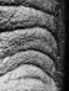 لایک نکن رفیق پازل 13