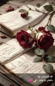 اگر قلبم شب بود تو ماهش بودی M🫀❤️