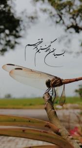 گذشتیم و گذشتیم