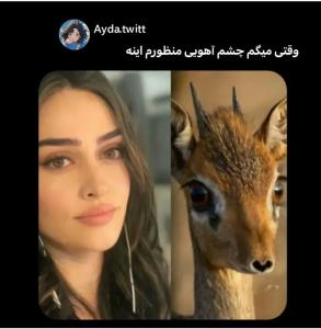 آهو خوبع یاپلنگ😂😂