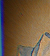 +نصف مخاطبا+