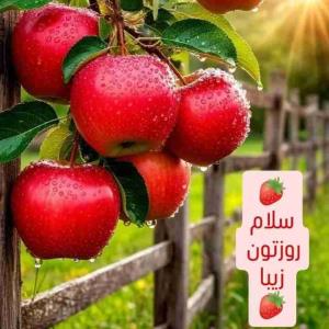 سلام صبح آدینه تون بخیر باشه انشاالله 