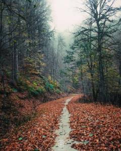 پاییز فصل عاشقی«کلاردشت زیبا»