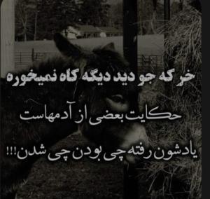 خواهشن رعایت کنیدجوخبریو، دوستان 