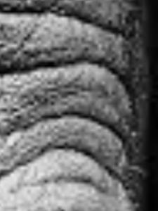 لایک نکن رفیق پازل 13