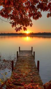 زندگے‌ همین است
هر خاطره ، غروبے دارد
هر غروب ، خاطره اے
و م