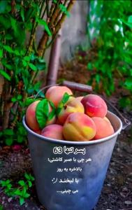 هر چی با صبر. کاشتی 