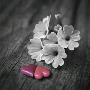  وَفادار بودن آسونه!🤞🏻