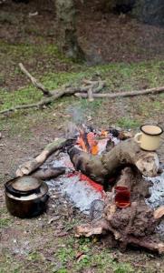 عصرتون بخیر