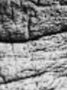 لایک نکن رفیق پازل 14