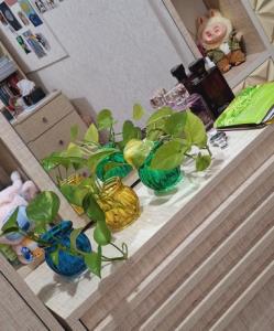 اتاق پرنسس و گیاه ها و گلدان های مهتاب پسندش....🌿🧿🌿