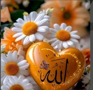 🕋أَلا بِذِکرِ اللَّهِ تَطمَئِنُّ القُلُوبُ🕋