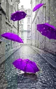 🪻عصرتون زیبا🪻