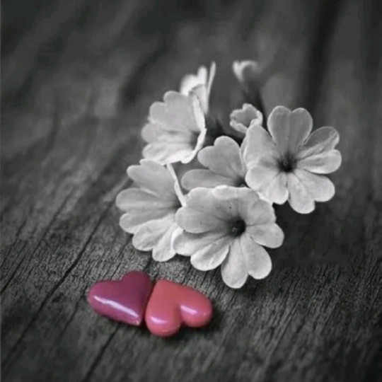  وَفادار بودن آسونه!🤞🏻