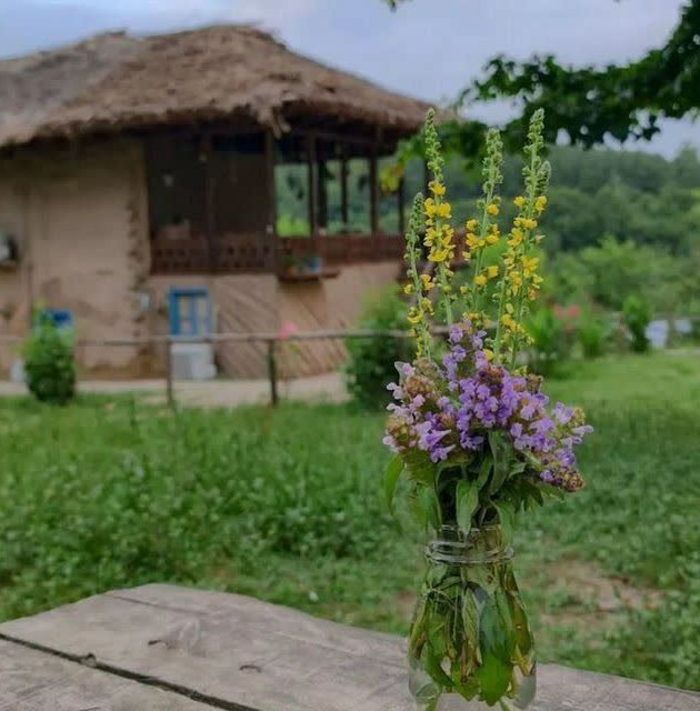 در زندگی خود 