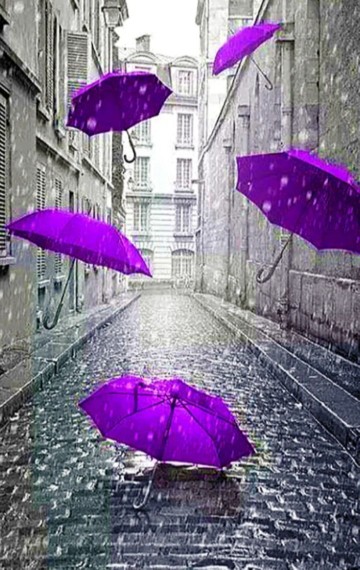 🪻عصرتون زیبا🪻