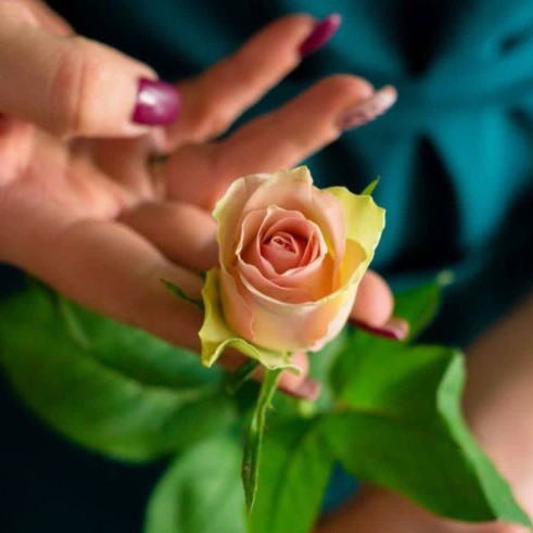 باوفآیی‌خصلت‌خوبیست!