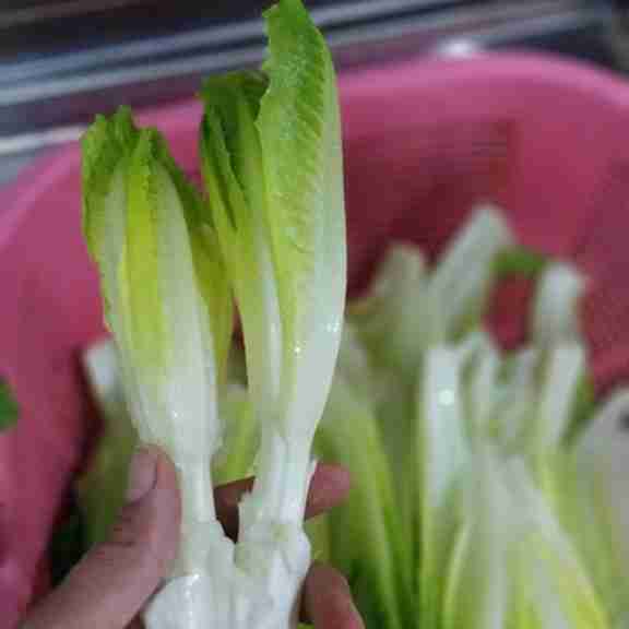 به فال نیک میگیرم..😊