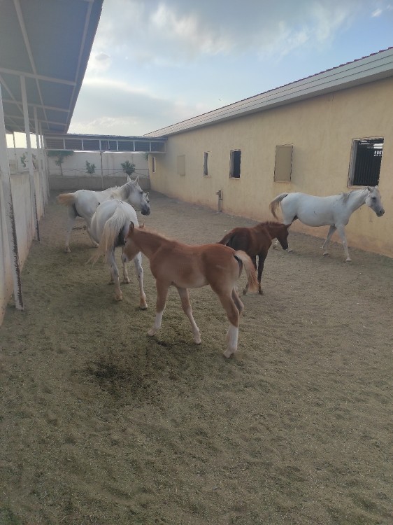 بعضی وقتا فقط کافیه که رها کنی..
