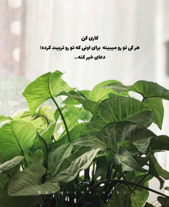 سلام صبح قشنگتون بخیر 🌺💫💞