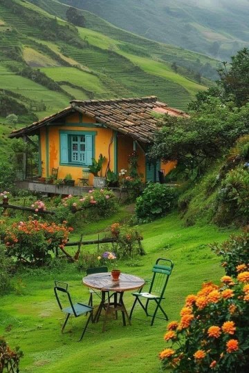 زیاده خواه نیستم...
جاده ی شمال
یک کلبه جنگلی
یک میز کوچک 