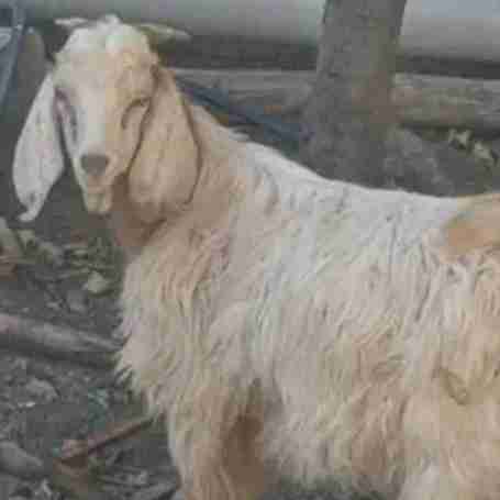 پست مهدی دهاتی 😉🤦‍♀️🤦‍♀️