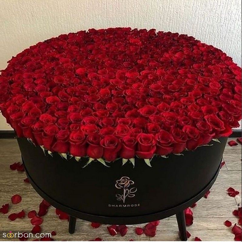 🌹گپ ابری*صبا تقدیمی🌹