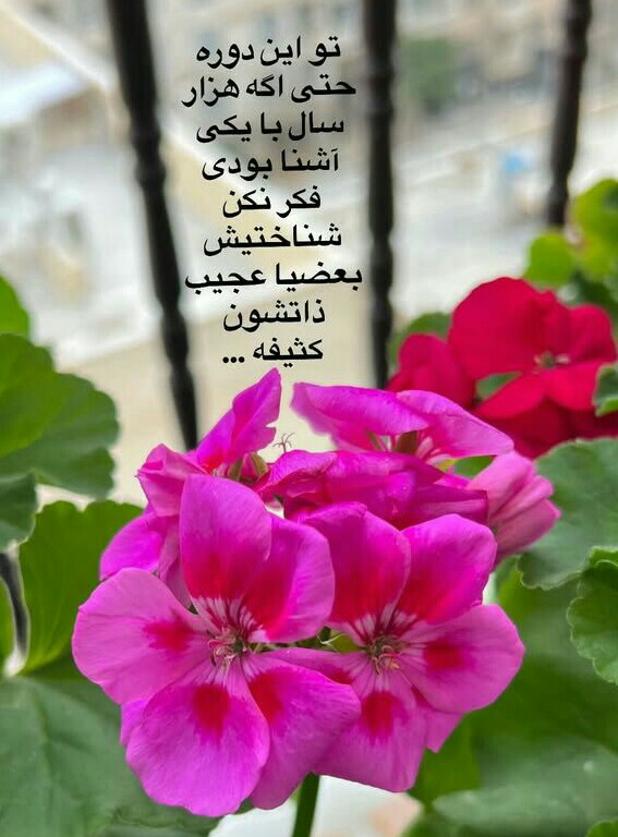 خدایا مصلحتت رو شکر