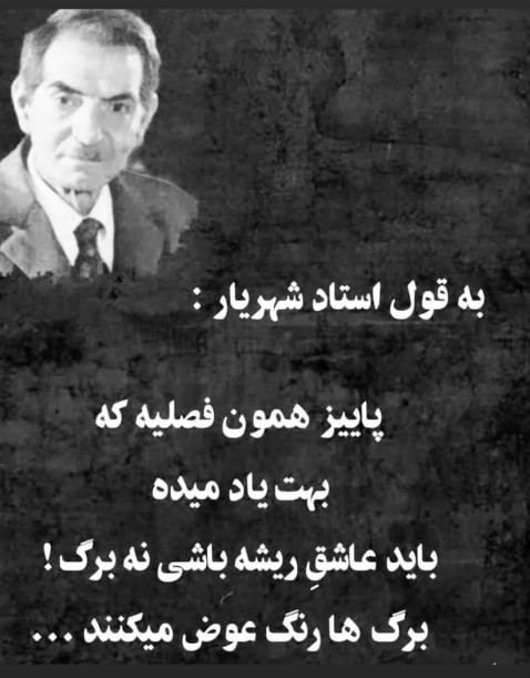 یاعلی مدد