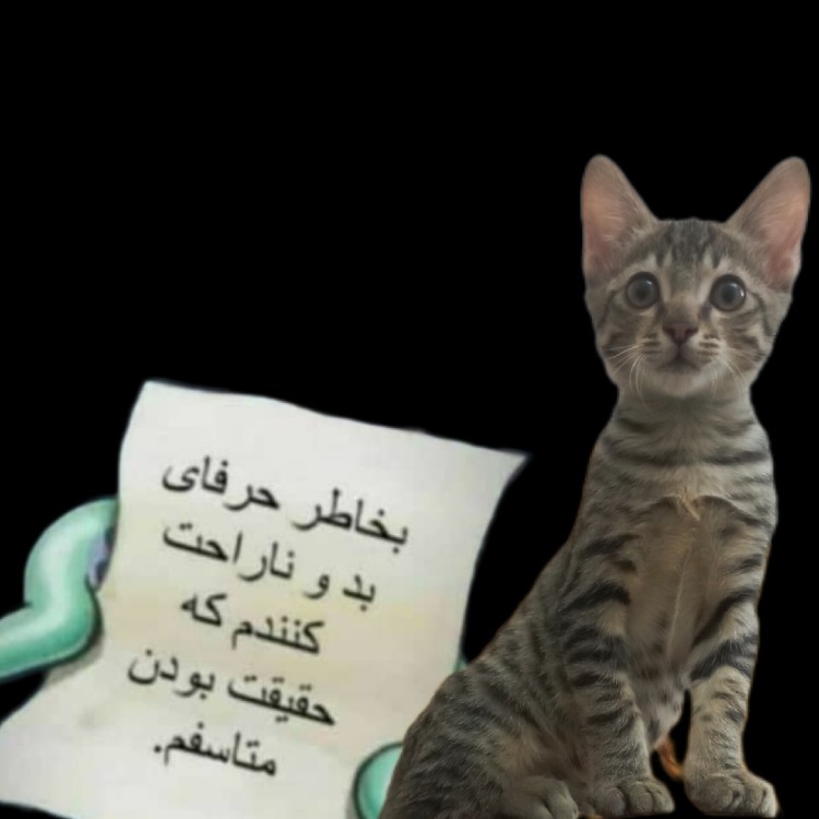 طوری که من معذرت خواهی میکنم 😂😂😂