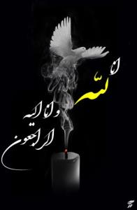 مهدی و طاها روحتون شاد🖤🥲