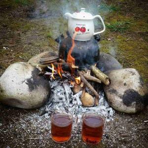 ‌‌‌😍غروب است و 
     💚 هیچ چیز مانند شنیدن 
         💚 یک "دوستت دارم"
             💚 به همراه یک چای تازه دم
                   نمیچسبد..
                       غروبتـــــــون قشنگ باشه 
                            🍃🌸🍃🌸🍃🌸🍃