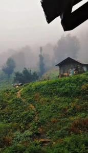راهی رو برو که بهت حس خوب میده ...🍃🌳🌧️
