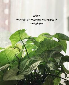 سلام صبح قشنگتون بخیر 🌺💫💞