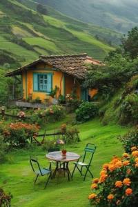 زیاده خواه نیستم...
جاده ی شمال
یک کلبه جنگلی
یک میز کوچک 