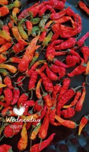 فاطی نگا، الان دگ آسیاب شدن 👻🌶