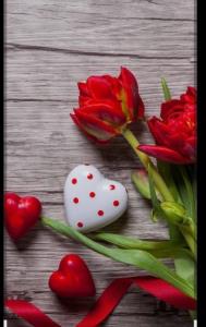 سلام نفسم هر کجا باشم به یادتم N