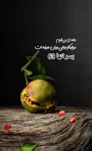 دانه ای بی قرارم 