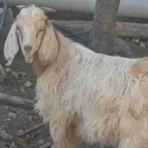 پست مهدی دهاتی 😉🤦‍♀️🤦‍♀️