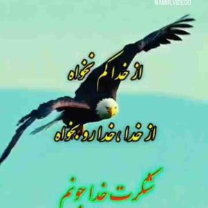                    از خدا  کم نخواه
                 از خدا  ،  خدا رو بخواه
  🌹🌹🌹 شکرت خدا جونم 🌹🌹🌹