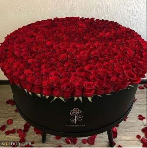 🌹گپ ابری*صبا تقدیمی🌹