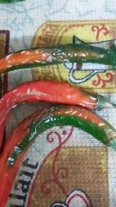 اولین باره فلفل سبز خشک کردم نمیدونستم قرمز😂😌