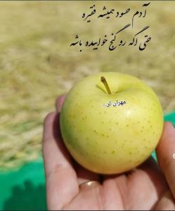 مهران لر....دوستان شبی خوب و شیک رویایی داشته باشین 🙋