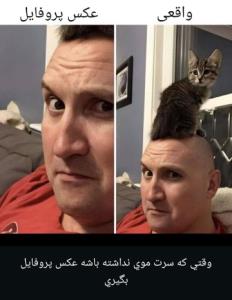 😇😇👋👋✌😂😂😂😂