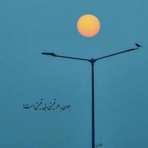 سلام روزتون بخیر 🌹🌹🌸