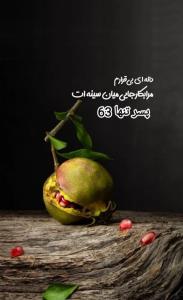 دانه ای بی قرارم 